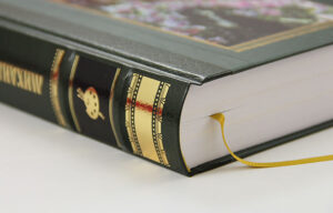 Подробнее о статье Как создать книгу, которая выглядит дорого, но стоит недорого