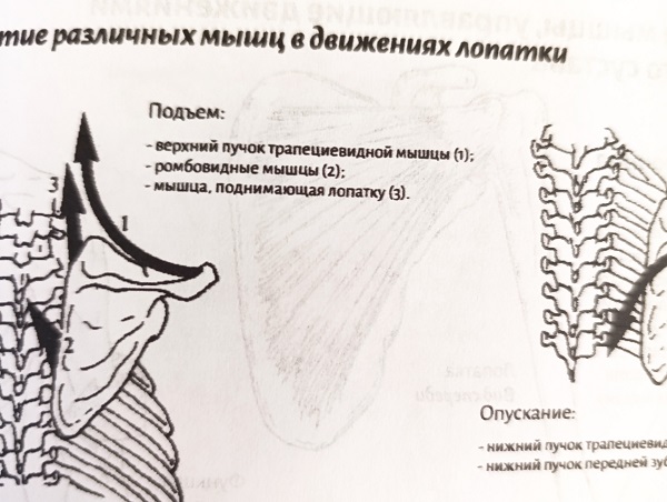 Качество бумаги